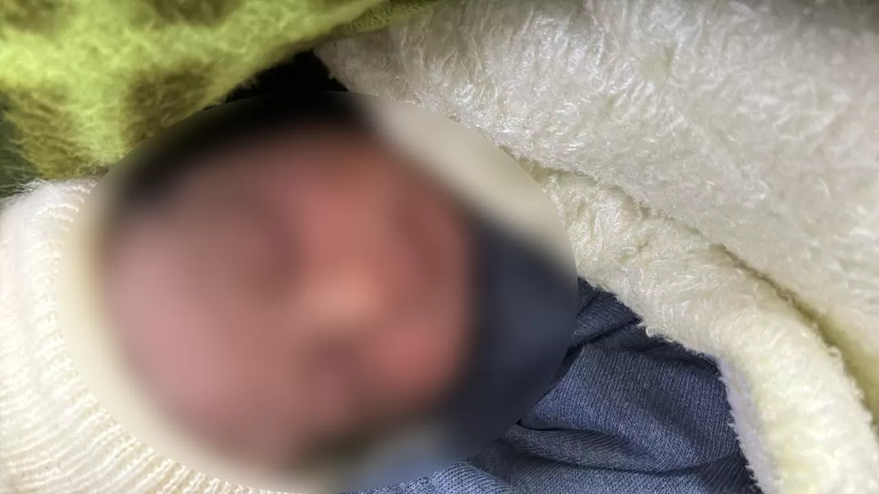 Cradled in Comfort and Care