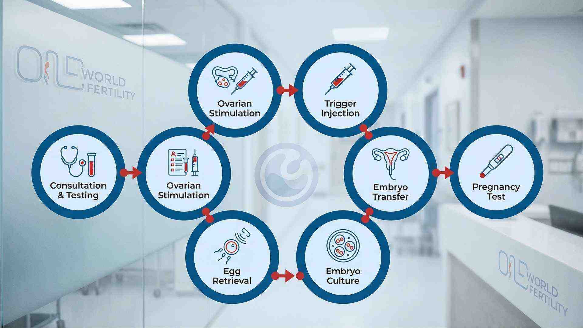 IVF Procedure in Guwahati