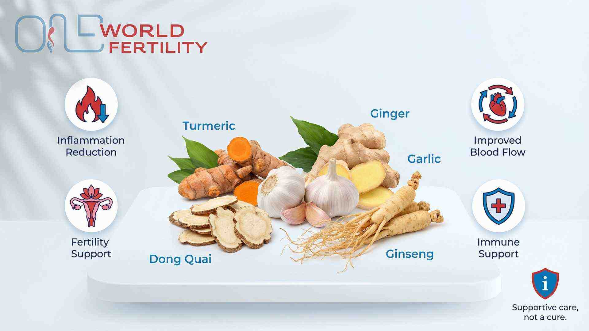 Top Herbal Remedies for Blocked Fallopian Tubes