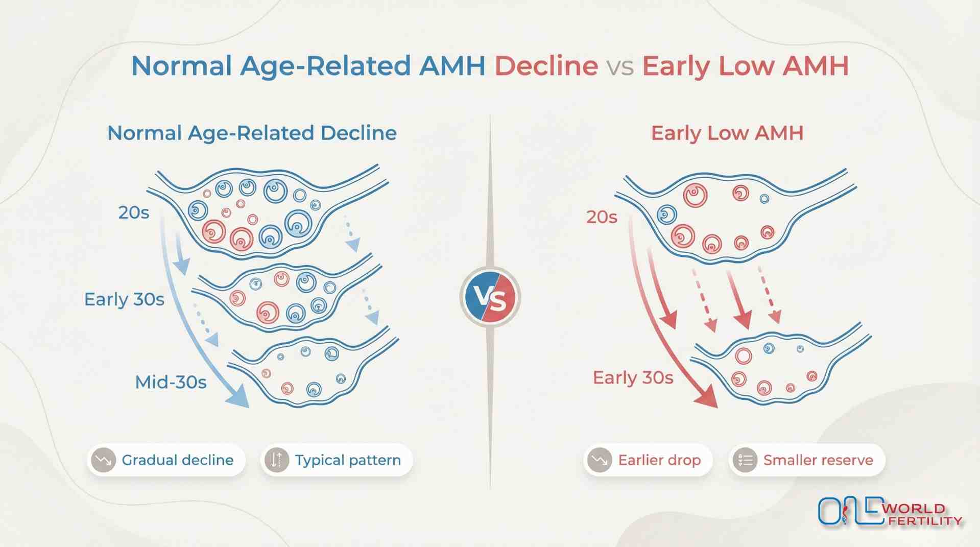 Age-Related Decline vs Early Low AMH Levels- ONE WORLD FERTILITY (2).jpg