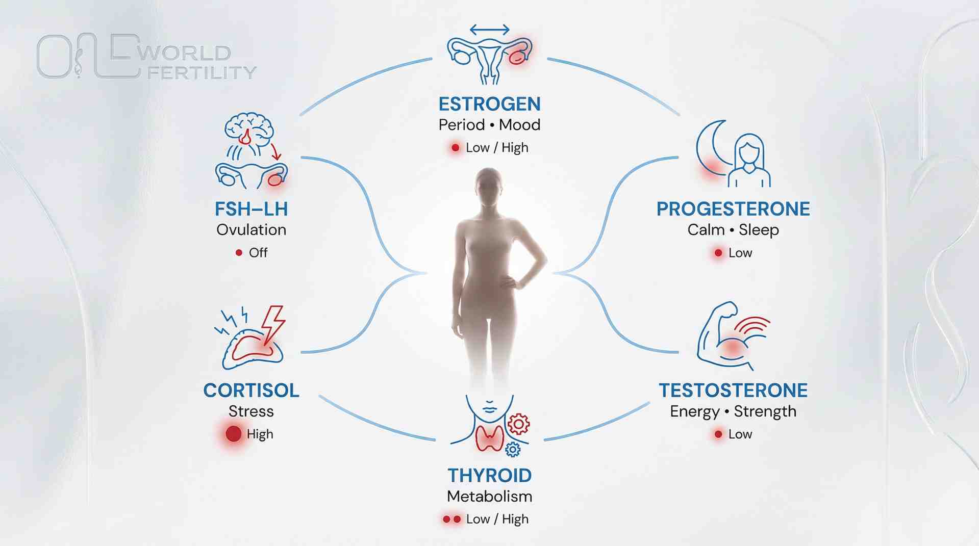 Essential Hormones in Women's Body - One world
