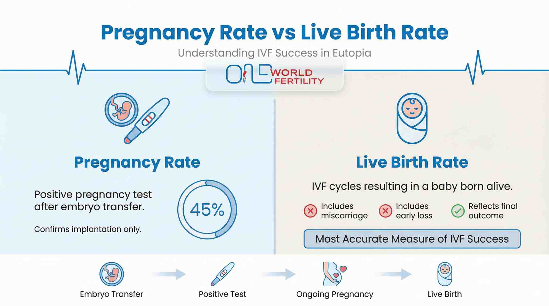 Pregnancy Rate vs Live Birth Rate - What’s the Difference - One world fertility.jpeg