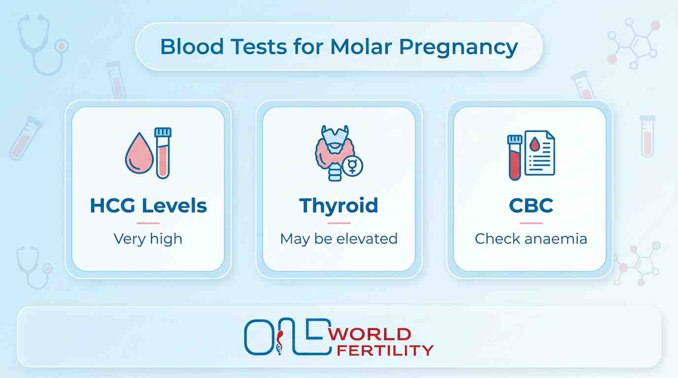 Blood Tests for Molar Pregnancy - one world fertility.jpeg